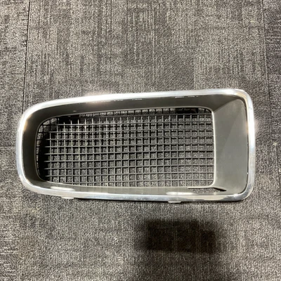 70-71 Pontiac Firebird / Trans AM Grille Panel RH Side Only — 第 1/3 张图片
