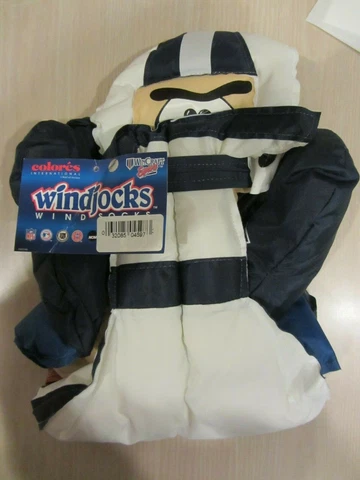 Tennessee Titans  WindJocks Wind Sock by WindCraft  NEW  (1120) Cover