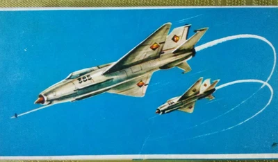 VEB Plasticart Nr.: 15100 , MiG 21 vintage 197er - Bild 1 von 2
