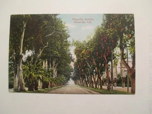 Riverside California Postcard Magnolia Avenue CA - Bild 1 von 2