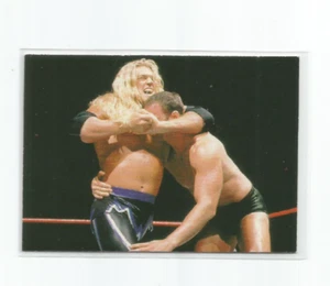 EDGE 1998 COMICBILDER WWF/WWE KARTE #46 - Bild 1 von 2
