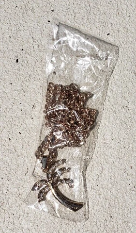 New Atlanta Braves Ozzie Albies Palm Tree Replica Chain 2021 SGA Cover