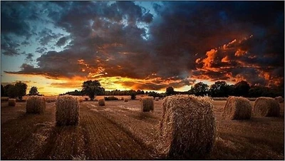 Samsung Monitor 46 Zoll (116,84cm)  VM46B-U Videowall (Gebraucht) - Bild 1 von 3