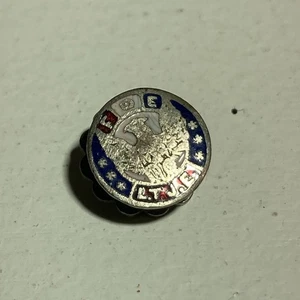 Tiny Fraternal Order of Eagles Enamel Pin Boy Scouts BSA Tie Lapel Pin - Picture 1 of 4