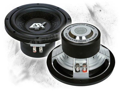ESX SX-840 - 20cm/200mm Auto Subwoofer Chassis - 600 Watt MAX - Bild 1 von 2