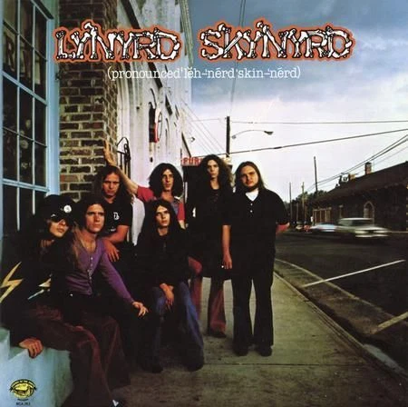 SKYNYRD LYNYRD - Pronounced Leh-Nerd Skin-Nerd (2LP/180g/45rpm) - Bild 1 von 1