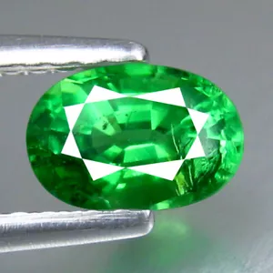 0.83_cts Mind Blowing Oval 100% Natural Vivid Green Tsavorite Garnet_Kenya - Picture 1 of 3