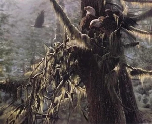 Collin Bogle Enchanted Forest Open Edition - Picture 1 of 1