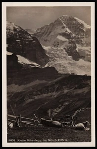 Kleine Scheidegg Mountain Pass Switzerland Postcard - Picture 1 of 2