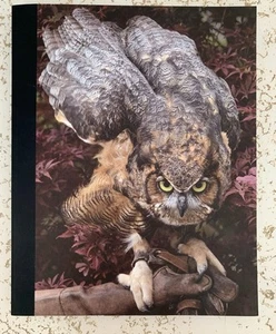 Bruce Weber All-American Volume 21 Time Will Tell - Imagen 1 de 2