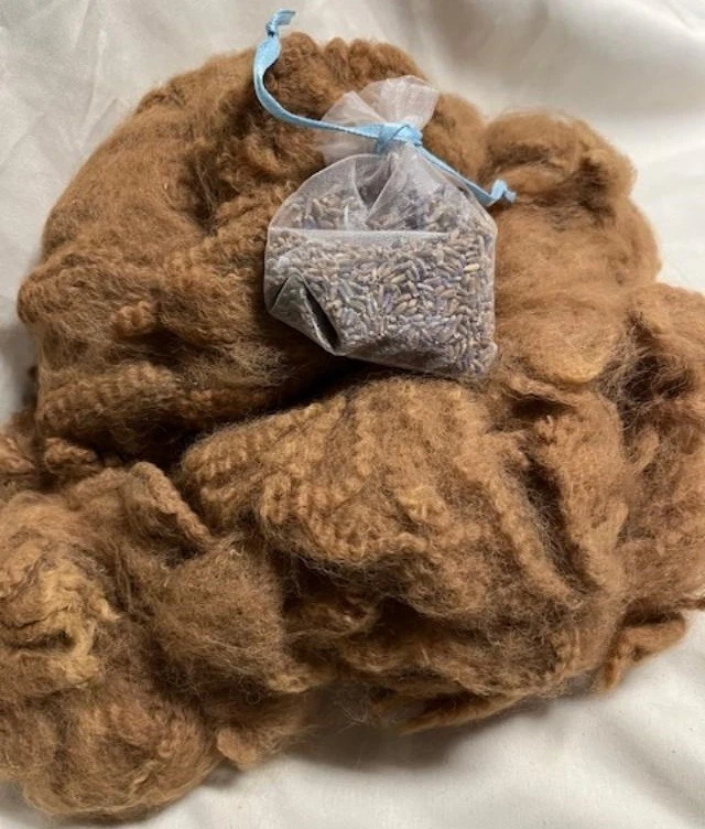 RAW 100% suave fibra de alpaca rizada para bebé, cervatillo oscuro natural 3 oz algunos vegetales Foto 1 de 1