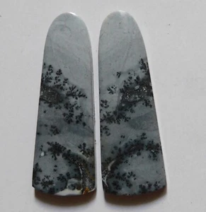 60.80 Cts Natural Maligano Jasper Cabochon Matching Pair Gemstone 45X15.5MM - Picture 1 of 3