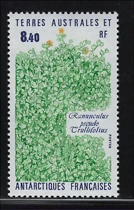 French Southern & Antarctic Territories FSAT Scott # 157 MNH Plants Flora - Picture 1 of 1