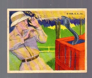 Tarjeta Frank Buck 1938 #7 - Gumakers of America - Imagen 1 de 2