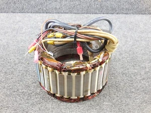 Unused Original Genuine OEM Factory Generac 096817 Stator 96817 G096817 - Picture 1 of 3