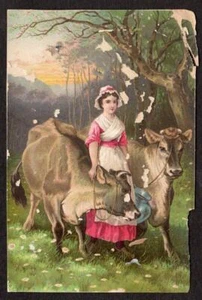 BATES*SCHOHARIE COUNTY*NUEVA YORK*POSTMASTER*JERSEYS*DR JAYNE'S REMEDIES*CHARLATANERÍA - Imagen 1 de 2