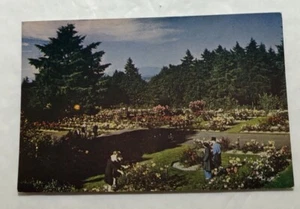 Portland's Rose Test Gardens, Washington City Park. Postal (W1) - Imagen 1 de 2