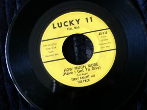 GARAGE~ TERRY KNIGHT AND THE PACK~ HOW MUCH MORE!~ GREAT SOUND~ LUCKY 11 - Picture 1 of 3