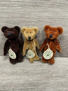 Boyds Bears T F Wuzzies Mini Plüschbär Set 3 Tylar Trevor Tyrone verbunden 3 Zoll - Bild 1 von 9