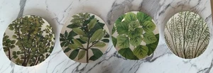John Derian botanical melamine dinner plate Target 10.5" - Set of 4 NWT - Picture 1 of 7