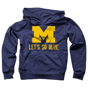 Wes and Willy Youth Boys (8-20) College Team Slogan Hoodie - Picture 1 of 39