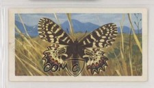 1964 Brooke Bond Butterflies of the World Zerymthia polyxena #1 0e3