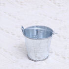 24Pcs Mini Tinplate Bucket Flower Pots For Home Decoration