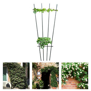 Plant Support Stable Strong Construction Stable Structure Multi-use Plant Stake
