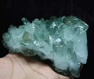576g RARE ! New Find Natural Beatiful Green Quartz Crystal Cluster Specimen - Picture 1 of 9