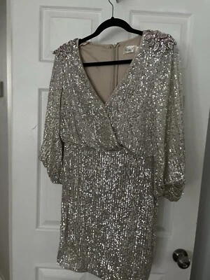 Mardi Gras Silver Sequin Dress - Image 1 of 4