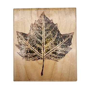 Штамп резиновый кленовый лист 3,75 дюйма x 3,25 дюйма осеннее дерево для скрапбукинга и рукоделия - Изображение 1 из 4
