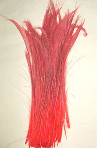 50 Peacock Sword Feathers 25-36" L Bleached & Dyed 21 colors available - Picture 1 of 44