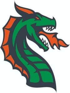 Seattle Dragons XFL XL Size Football Helmet Decals - Picture 1 of 3