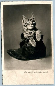 GATO EN LA BOTA ANTIGUA FOTO REAL POSTAL RPPC - Imagen 1 de 2
