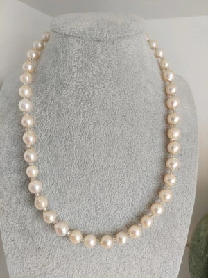 Wunderschöne Halskette aus echten Perlen🤍✨️ 39 cm lang - Bild 1 von 4