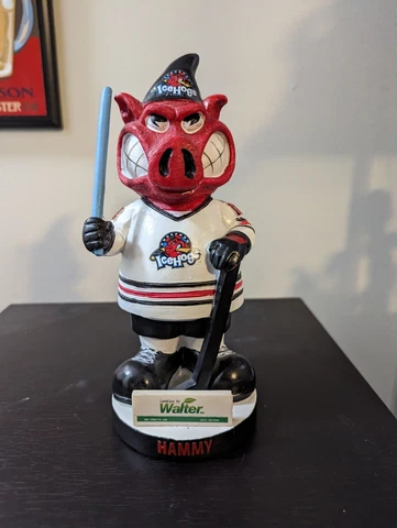 Rockford Ice Hogs Hammy Mascot Star Wars Gnome SGA Chicago Blackhawks 2018 AHL Cover