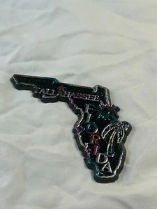 Imán negro Florida Small State MA-123 - Imagen 1 de 1