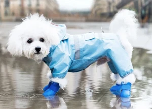 Dog Cat Blue Silicone Protective Waterproof 4Pcs Raining Boot Shoes Size Medium - Picture 1 of 5