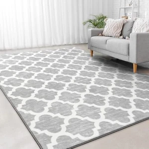 Jelymark Shag Moroccan Area Rug for Living Room, 4x6 Feet, Light Grey/White - Picture 1 of 10