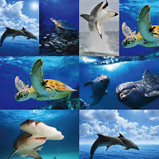 SEA CREATURES, SHARK, DOLPHINS ETC POSTERS UPTO A1 SIZE,  FRAMES AVAILABLE