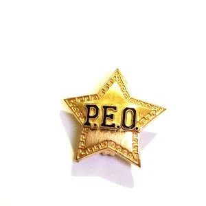 Vintage PEO Sisterhood Sorority Star, PEO Pin RARE 1989 Gold - Picture 1 of 3