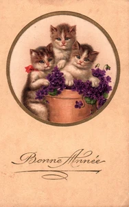 3 Kittens BONNE ANNEE Vintage Postcard posted Monaco 1931 - Photo 1/2