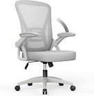 Naspaluro Ergonomic Desk Chair With 90° Flip-up Armrest Lumbar Support, Height A