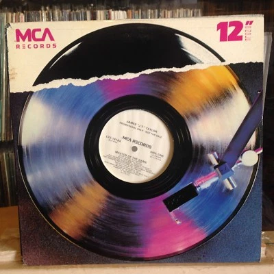 [SOUL/FUNK]~NM 12"~JAMES J.T TAYLOR~Master Of The Game~[x3]~Sister Rosa (House)~ - Image 1 of 3