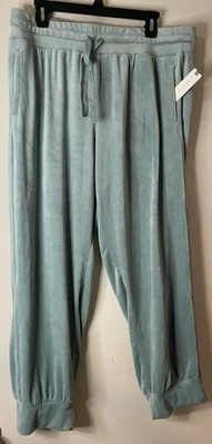 NWT Anthropologie Saturday Sunday pants joggers size XL lounge - Image 1 of 4