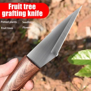 8,4" Holzgriff Stahlklinge Handarbeit D2 Kiridashi Jagdmesser mit Scheide - Bild 1 von 10