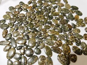 5000 Cts.Natural Turritella fossil cabochon loose gemstone mixed shape -Sk3625 - Picture 1 of 15