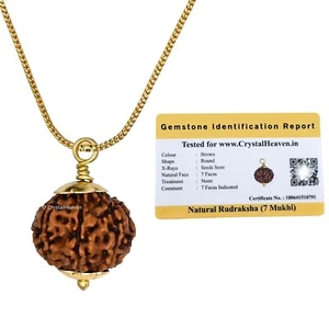 7 Mukhi Certified Rudraksha Pendant Necklace for Women Men Original - Picture 1 of 7