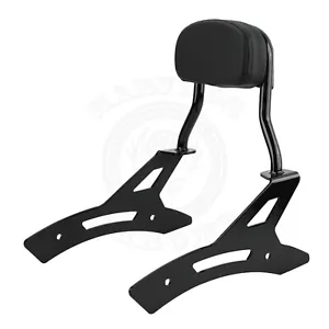 Kit de respaldo y almohadilla para barra de pasajeros Sissy aptos para Honda Rebel CMX1100 2021-2023 22 - Imagen 1 de 6