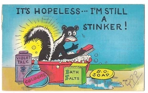 IT'S HOPELESS I'M STILL A STINKER! Skunk Taking a Bath York PA Postcard 1957 - Picture 1 of 2
